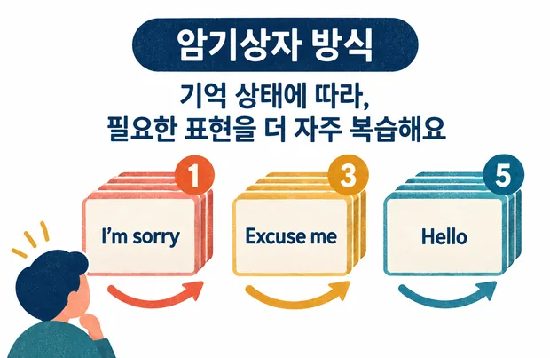 암기상자 방식 — 기억 상태에 따라 필요한 표현을 더 자주 복습